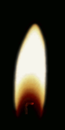 Light.gif