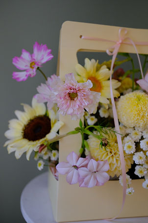 DSCF3488.JPG