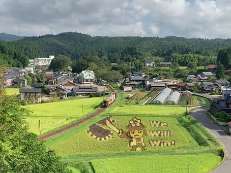 田んぼアートと列車