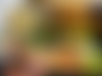 寒天御膳が新しくなりました。