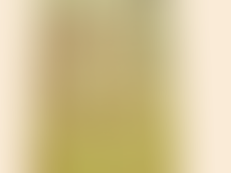 貸切りのお知らせ