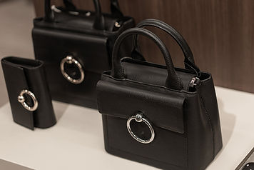 hand bags accesorizes