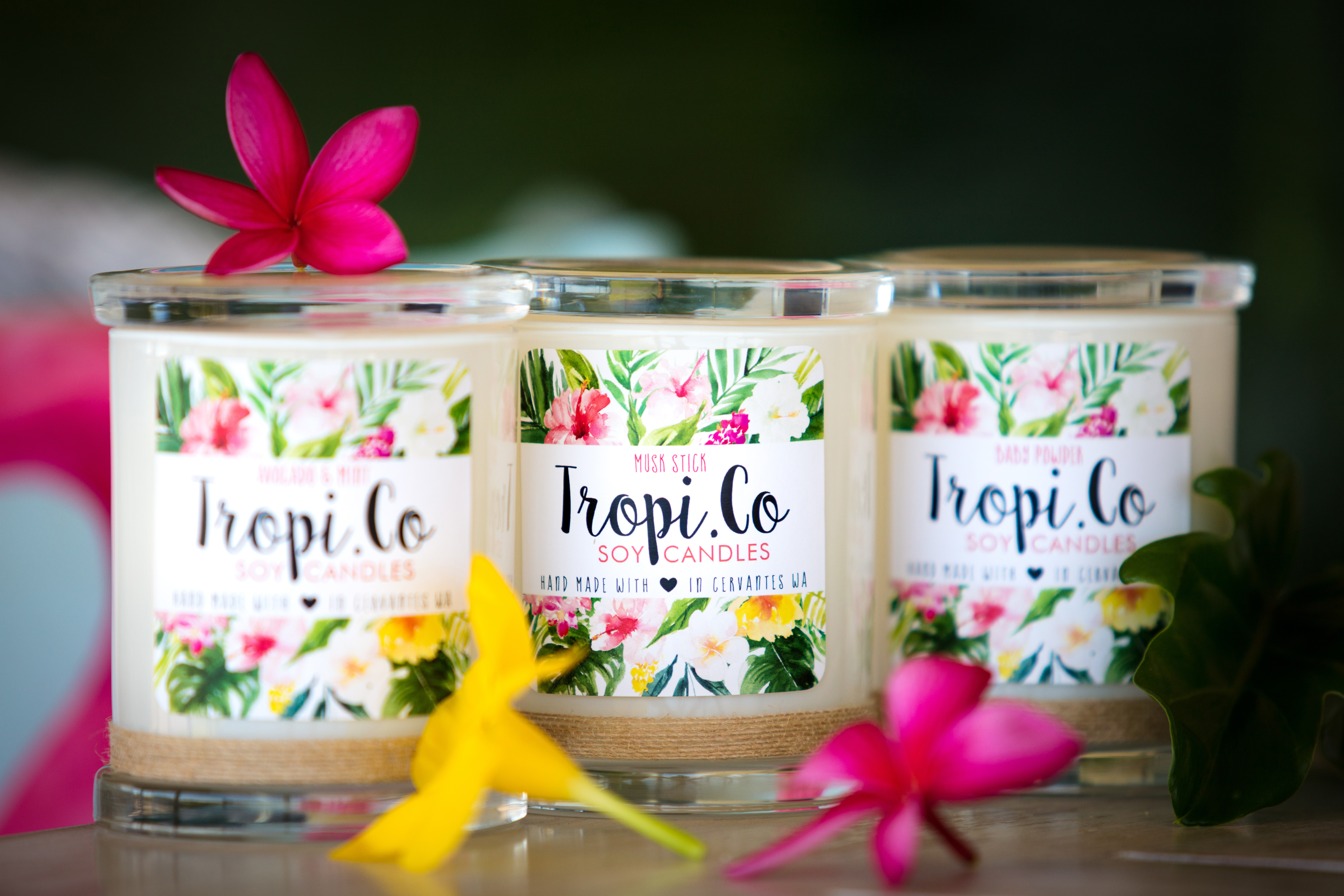 Photographer Still Shots Photography Cervantes