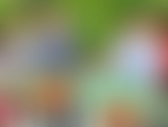 Turista participando de colheita de café em fazenda no interior de Minas Gerais