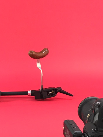 Shoot