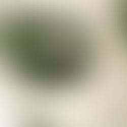 Σύνδρομο Τουρέτ: Κλινική εικόνα και Χαρακτηριστικά