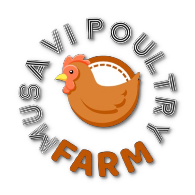 flG3JJms.2022-02-14 21_11_26.191275.png