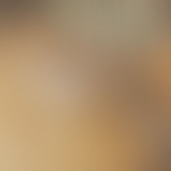 The Wholesome Guide to Sourdough: Why It’s Better for Your Gut