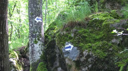 Czerwona_Góra_-_Chęciny_25.05.2017_r_014