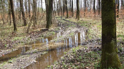 Zelejowa-Karczówka (17)