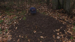 Zelejowa-Karczówka (2)