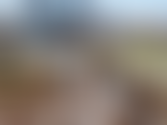 The Ultimate Shield for Your Surfaces: Introducing a Revolutionary Protective Coating