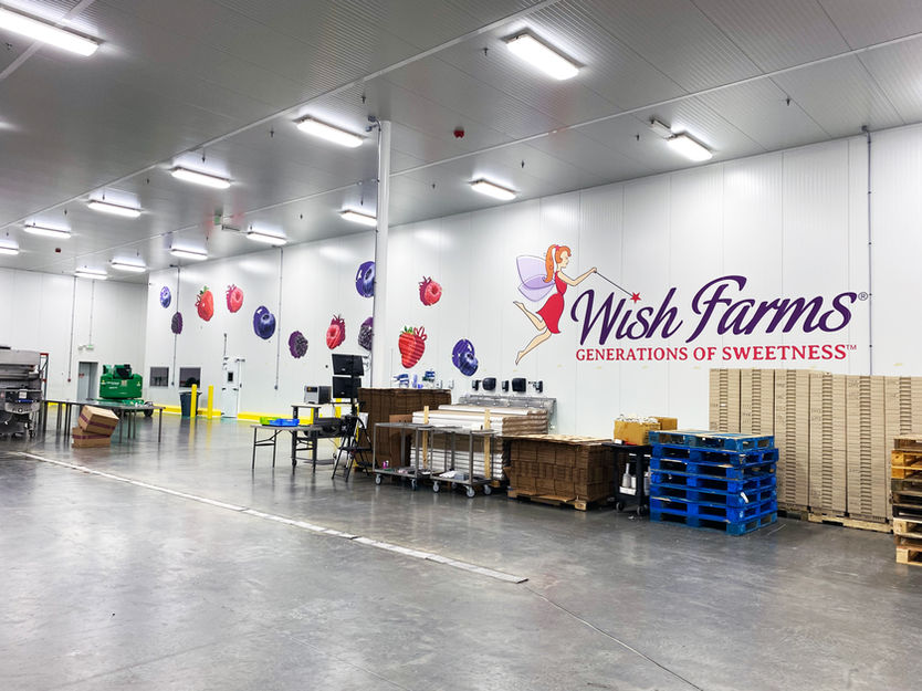 Wall Wrap