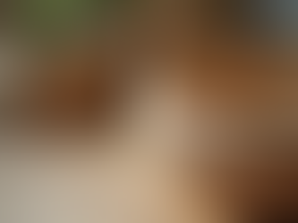 Ethical Home Decor: Embracing Fair Trade Home Accessories