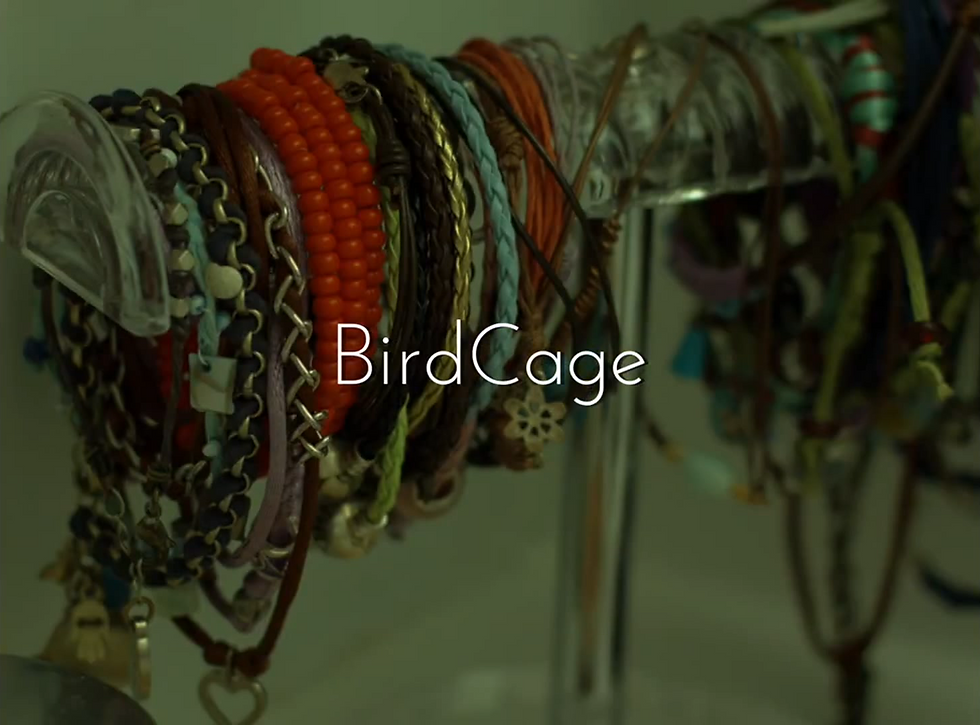 BIRDCAGE 1 STILL (2).PNG