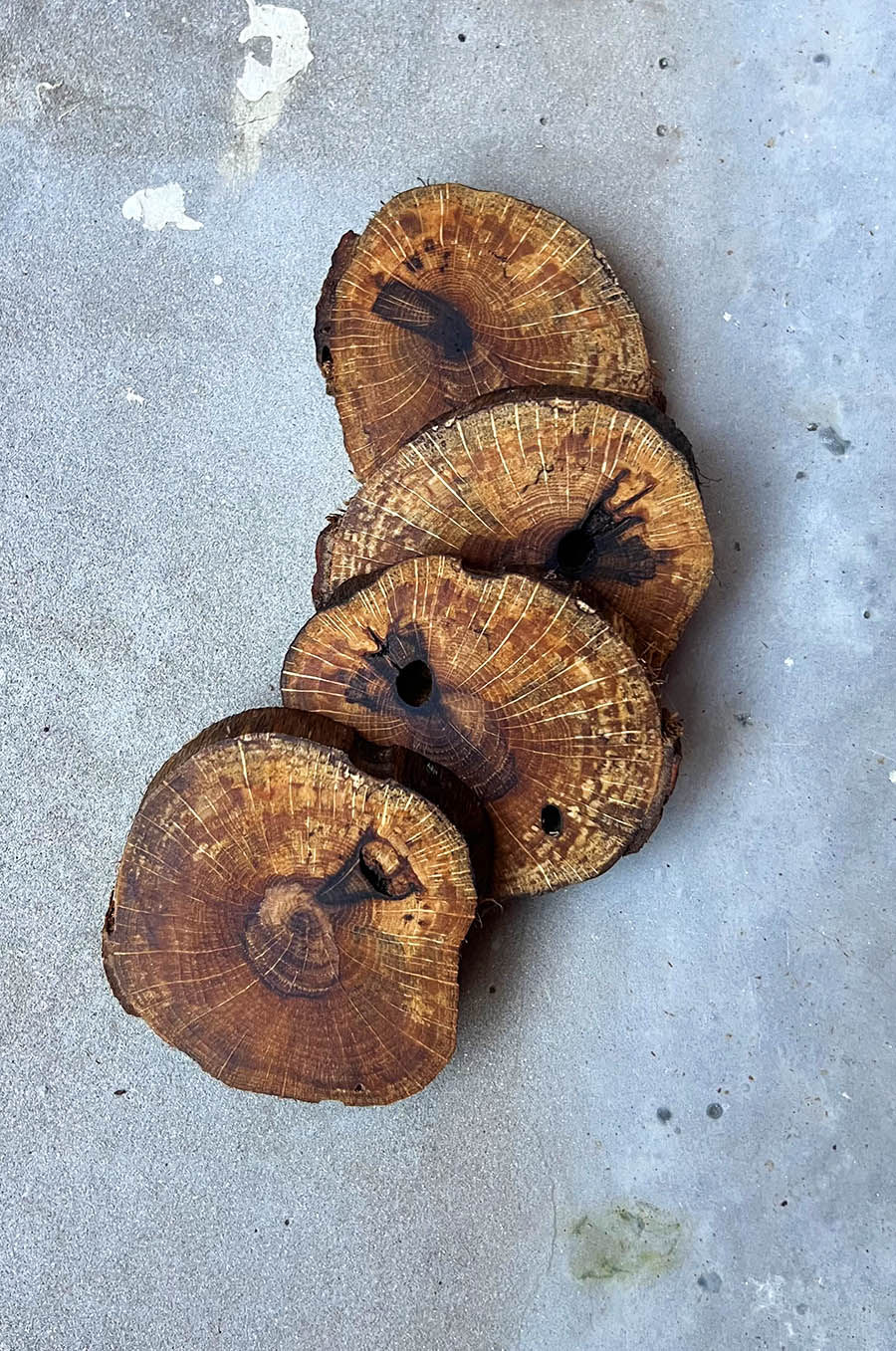 Miniature : Lot de 4 Dessous de Verre en Bois Naturel Massif huilé