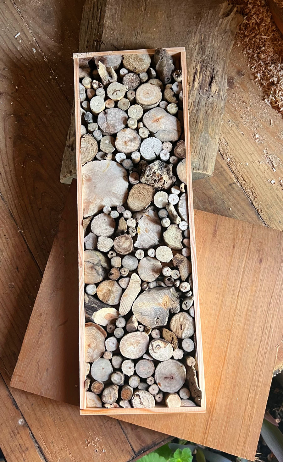 Miniature : Cadre artisanal en bois flotté des Landes - vue de face - Décoration naturelle 100% française