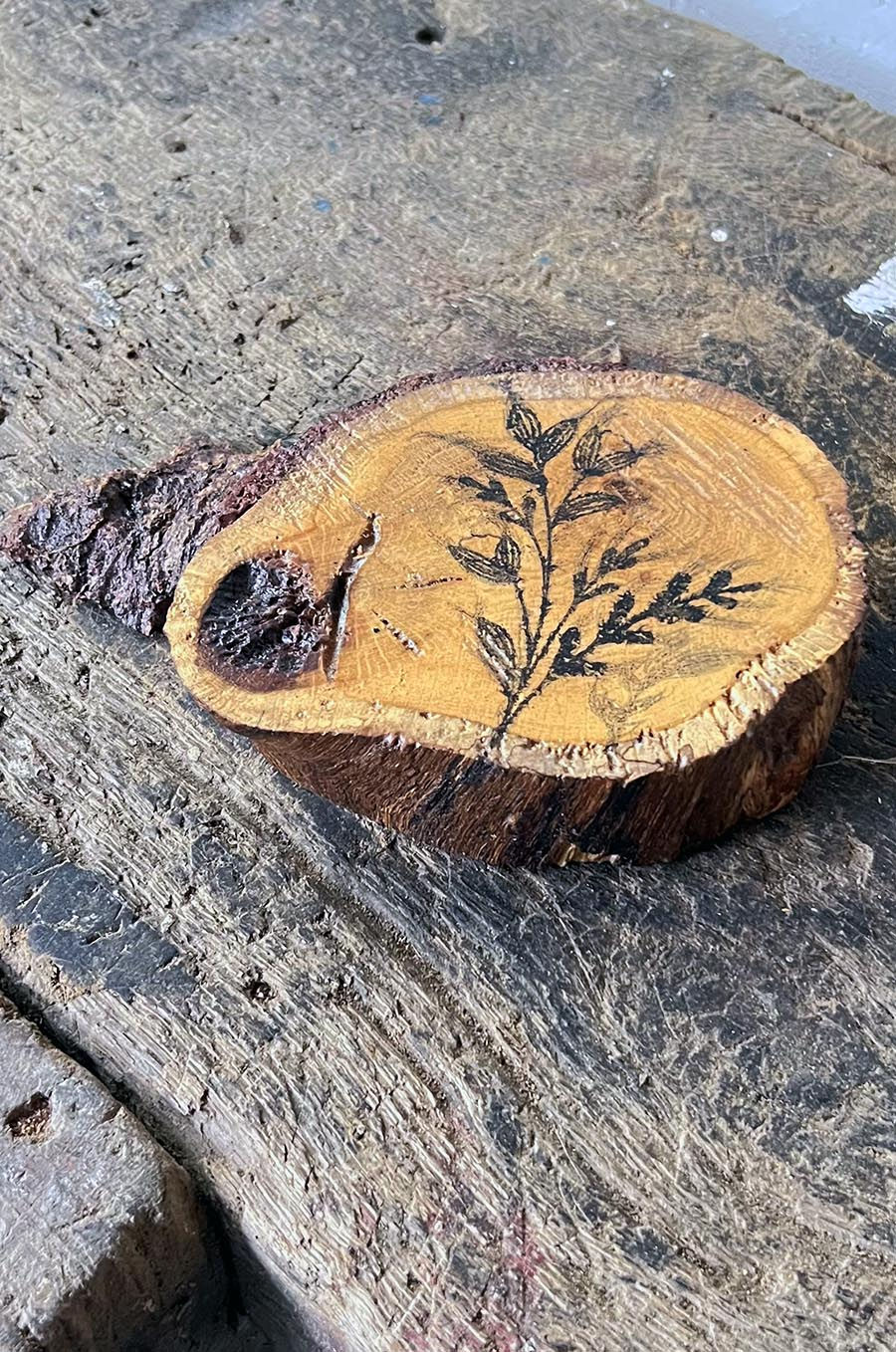 Miniature : Support déco tranche d’arbre en Bois Massif vernis