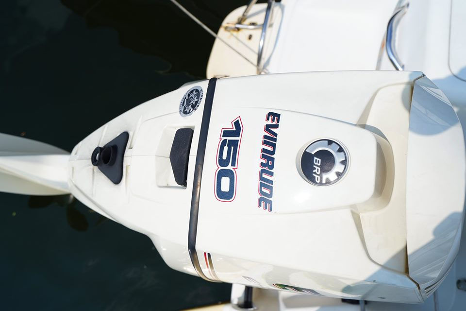 縮圖：550 Cruiser  (2006)