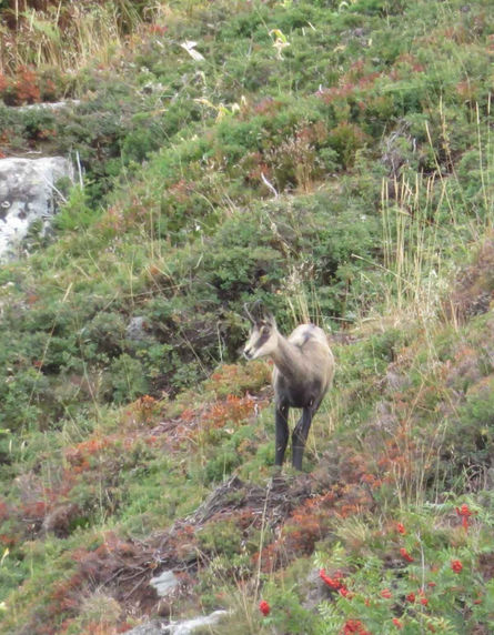 WhatsApp Image 2022-08-22 at 18.06_edited.jpg