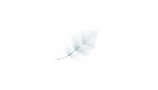 Background Image Leaf