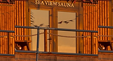 sauna-hero.png