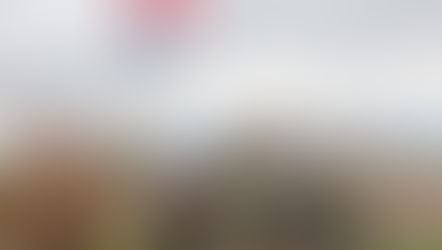 The Montana Logging Association