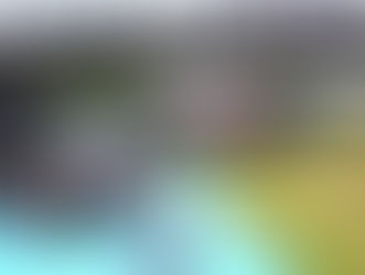 八王子市総合水防訓練