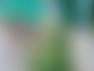 【春～初夏】アメリカオニアザミのこと