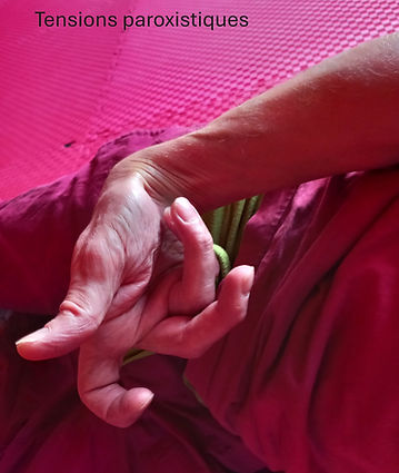 photo main dimitri.JPG