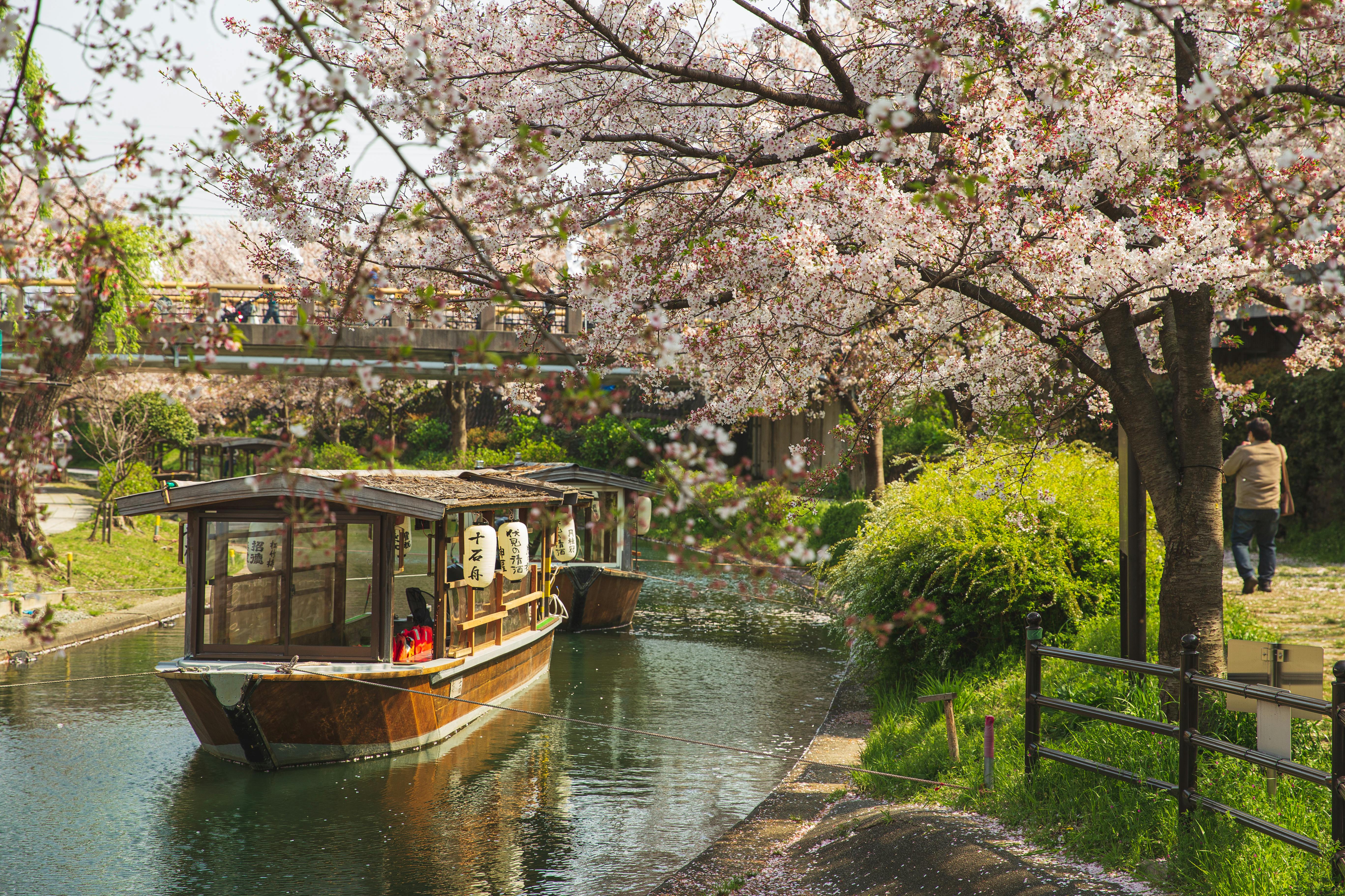 Kyoto.jpg