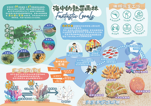 4號A2作品.png