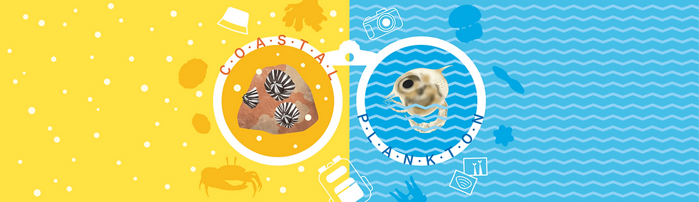 Banner.png