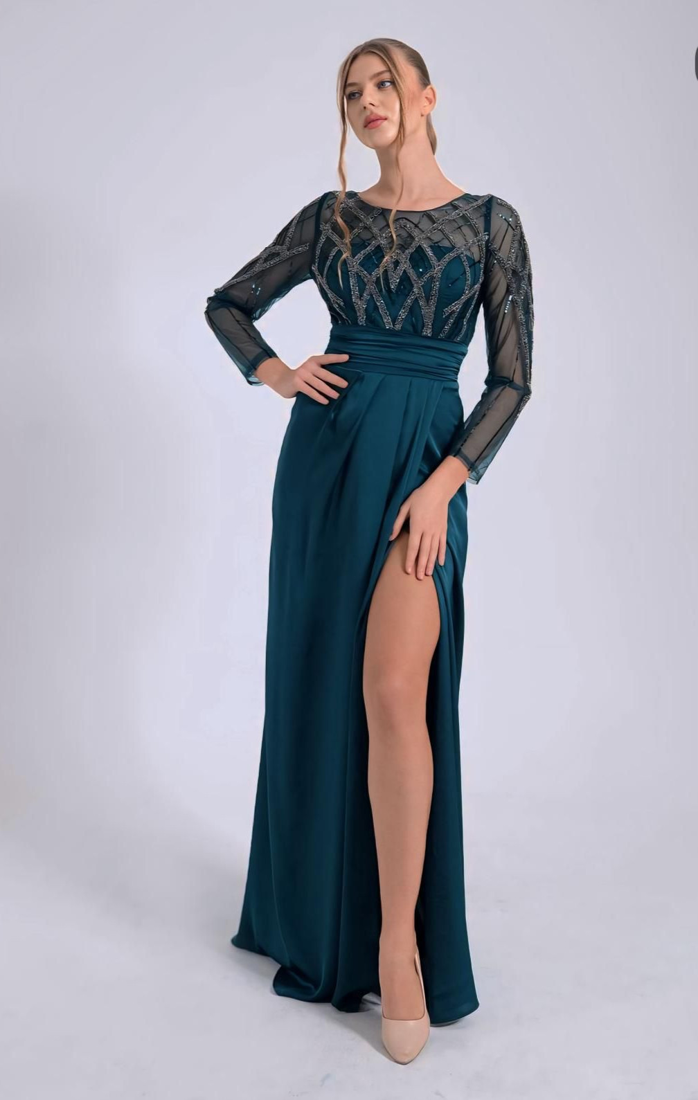 Sheer Sleeves Dress