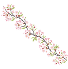 60.png