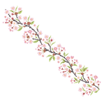 60.png