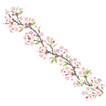 60.png