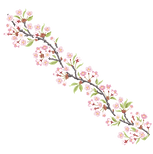 60.png