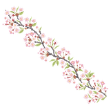 60.png