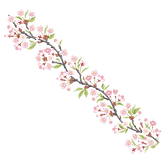 60.png