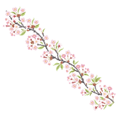 60.png
