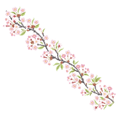 60.png