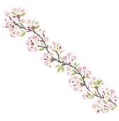 60.png