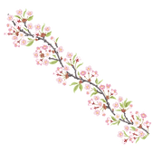 60.png