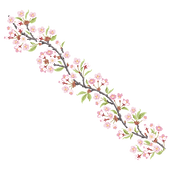 60.png