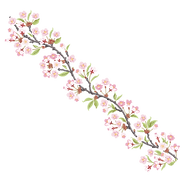 60.png