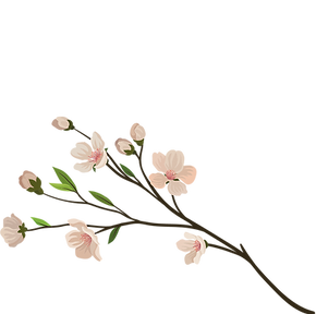 34.png