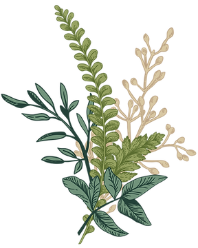 ilustraciones (14).png
