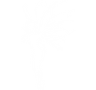 76.png