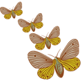7.png